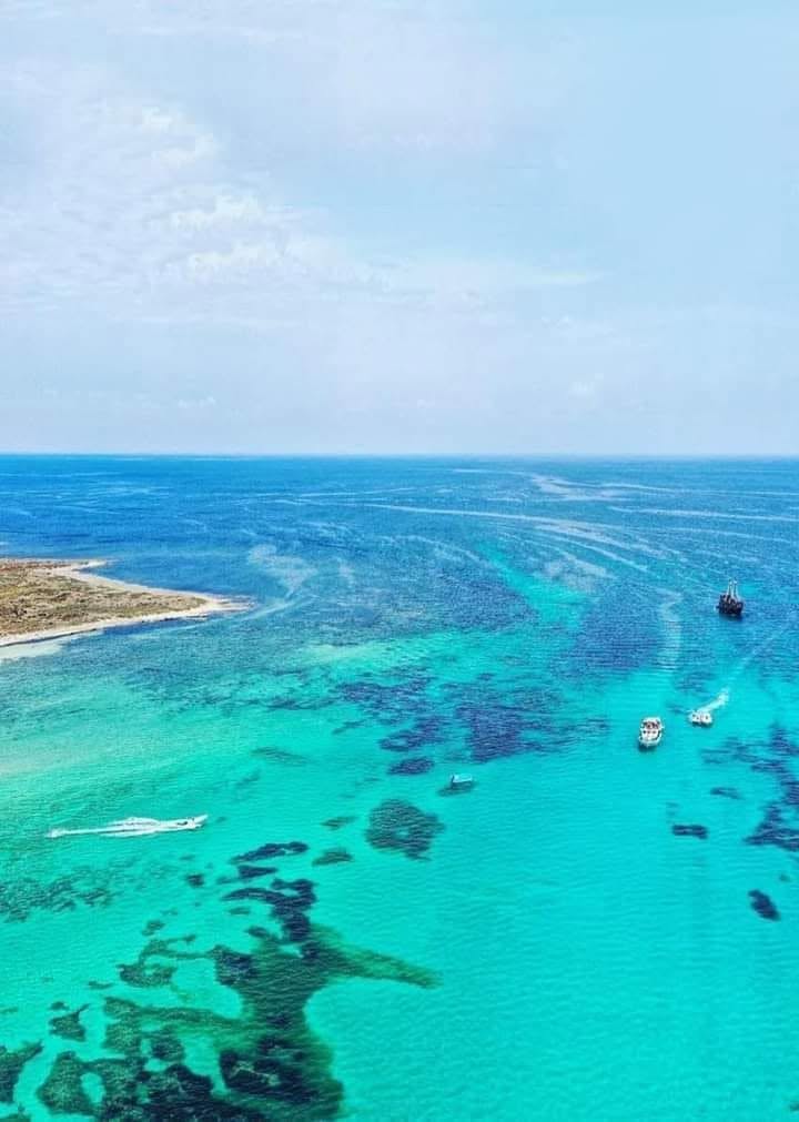 Découvrir les îles Kuriat