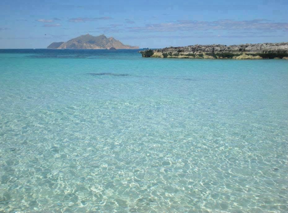 Découvrir l'île de Zembra